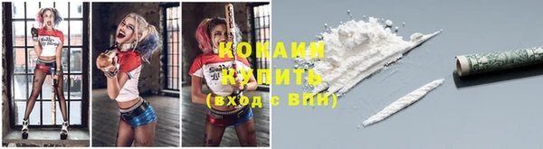 apvp Аркадак